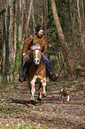 woman with Haflinger & Jack Russell Terrier