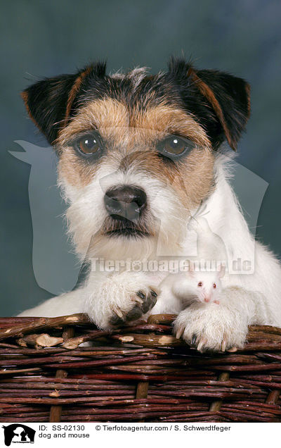 Hund und Maus / dog and mouse / SS-02130