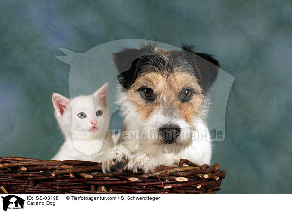Hund und Katze / Cat and Dog / SS-03198