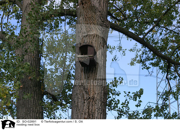 Nistkasten / nesting nest box / SO-02891