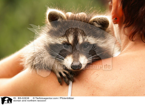 woman and northern raccoon / BS-02838
