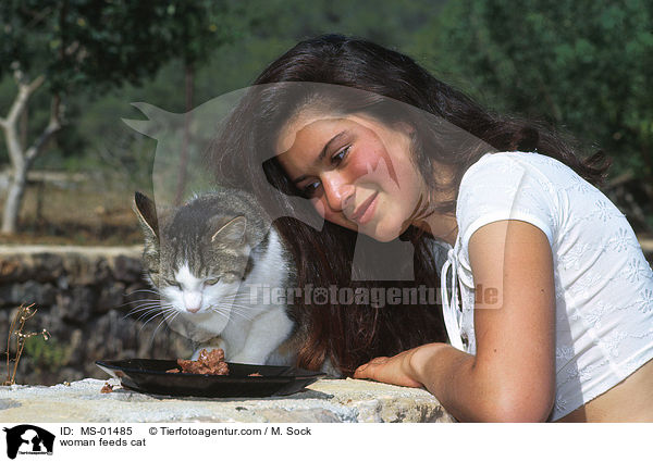 Frau fttert Katze / woman feeds cat / MS-01485