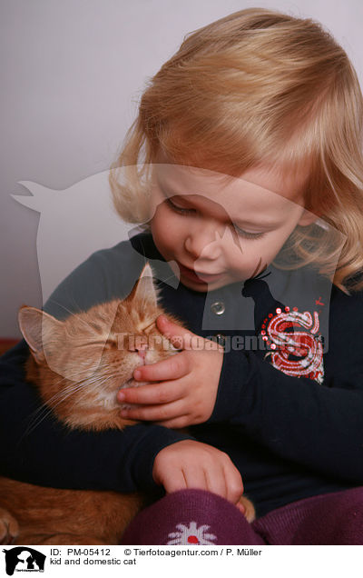 Kind und Hauskatze / kid and domestic cat / PM-05412