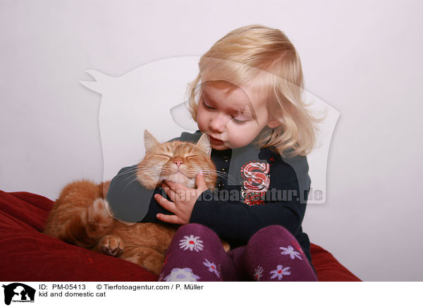 Kind und Hauskatze / kid and domestic cat / PM-05413