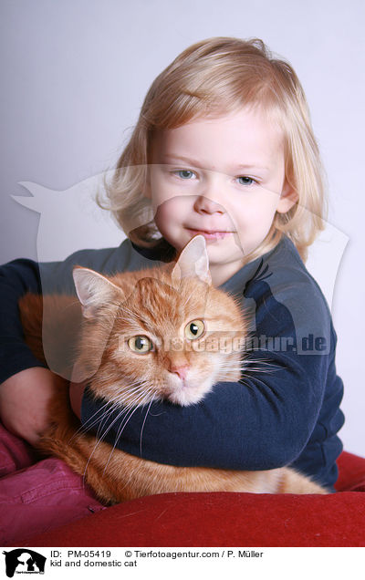 Kind und Hauskatze / kid and domestic cat / PM-05419
