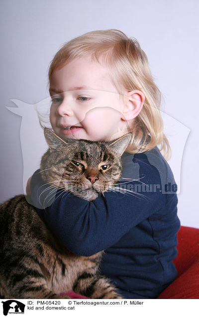 Kind und Hauskatze / kid and domestic cat / PM-05420