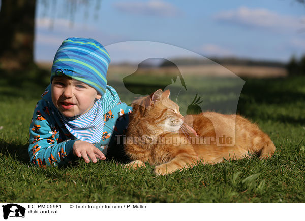 Kind und Hauskatze / child and cat / PM-05981