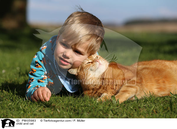 Kind und Hauskatze / child and cat / PM-05983