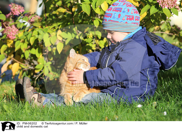 Kind und Hauskatze / child and domestic cat / PM-06202
