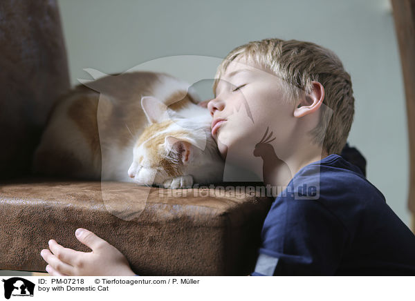 Junge mit Hauskatze / boy with Domestic Cat / PM-07218