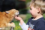 child and cat