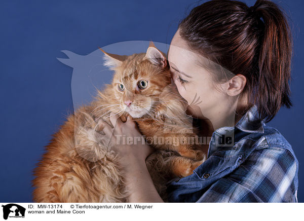woman and Maine Coon / MW-13174