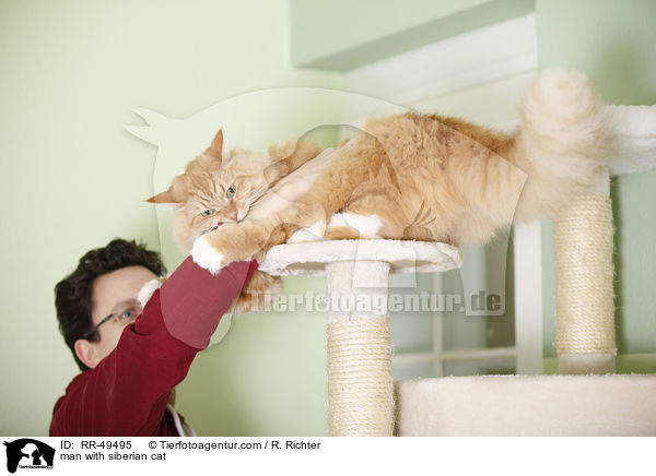 Mann mit Sibirischer Katze / man with siberian cat / RR-49495