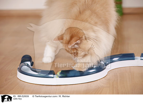 Katzenspielzeug / cats toy / RR-52609