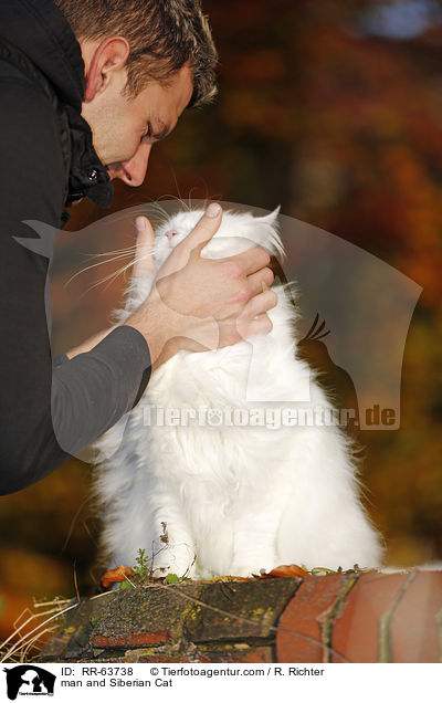 man and Siberian Cat / RR-63738