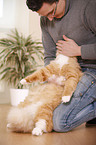 man with siberian cat