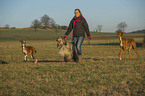 woman with dogs