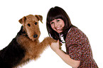 young woman with Airedale Terrier