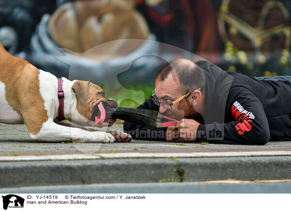 Mann und American Bulldog / man and American Bulldog / YJ-14519