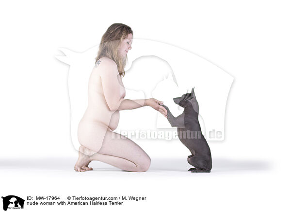 nackte Frau mit American Hairless Terrier / nude woman with American Hairless Terrier / MW-17964