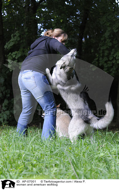 Frau und Amerikanischer Wolfshund / woman and american wolfdog / AP-07001