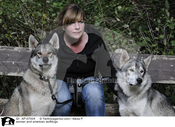 Frau und Amerikanische Wolfshunde / woman and american wolfdogs / AP-07004