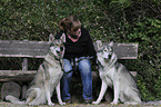 woman and american wolfdogs