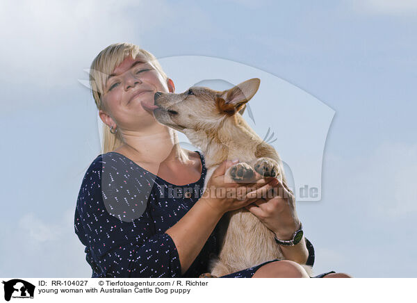 junge Frau mit Australian Cattle Dog Welpen / young woman with Australian Cattle Dog puppy / RR-104027