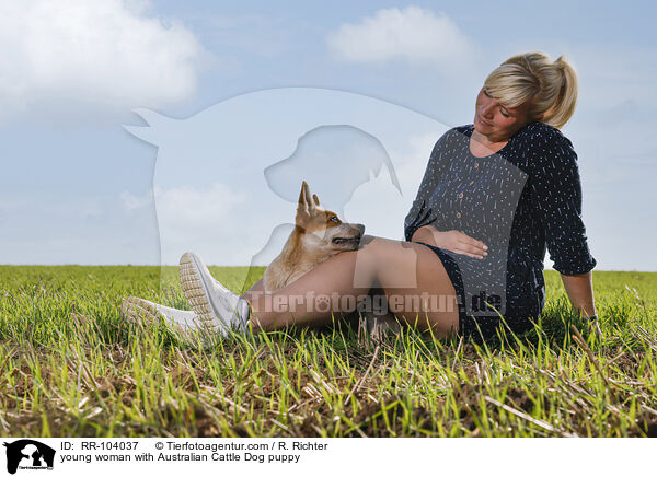 junge Frau mit Australian Cattle Dog Welpen / young woman with Australian Cattle Dog puppy / RR-104037