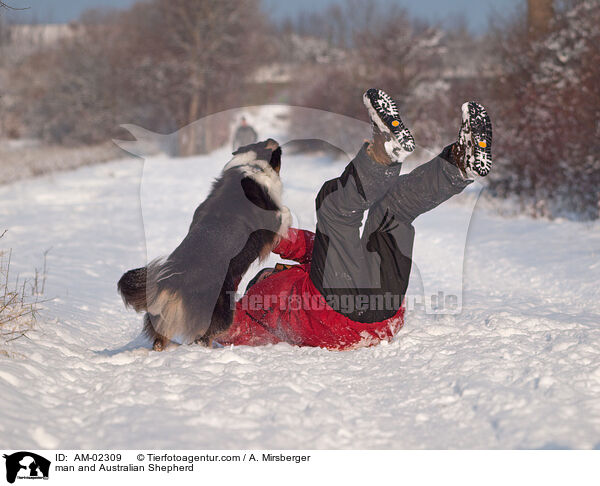 man and Australian Shepherd / AM-02309