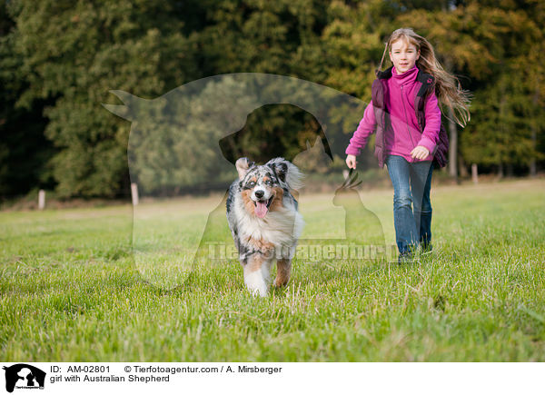 Mdchen mit Australian Shepherd / girl with Australian Shepherd / AM-02801