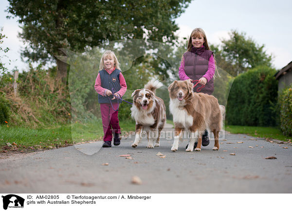 Mdchen mit Australian Shepherds / girls with Australian Shepherds / AM-02805