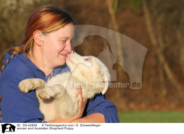 Frau und Australian Shepherd Welpe / woman and Australian Shepherd Puppy / SS-42808