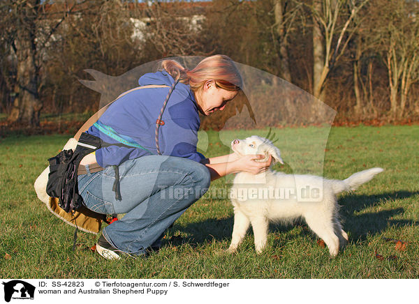 Frau und Australian Shepherd Welpe / woman and Australian Shepherd Puppy / SS-42823