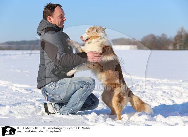 Mann und Australian Shepherd / man and Australian Shepherd / PM-06216