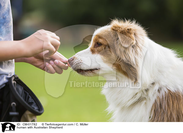 Mensch mit Australian Shepherd / human with Australian Shepherd / CM-01782