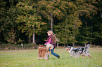 girl with Australian Shepherds