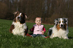 child and Australian Shepherd