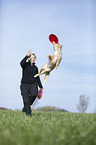 Australian Shepherd plays frisbee