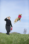 Australian Shepherd plays frisbee