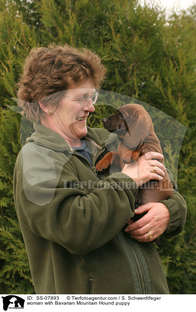 Frau mit Bayerischer Gebirgsschweihund Welpe / woman with Bavarian Mountain Hound puppy / SS-07893