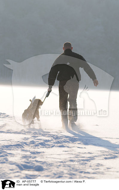 Mann und Beagle / man and beagle / AP-05777