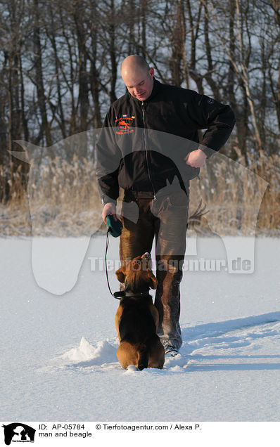 Mann und Beagle / man and beagle / AP-05784