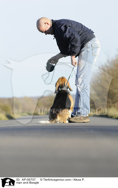 Mann und Beagle / man and Beagle / AP-06707