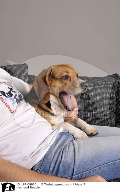 Mann und Beagle / man and Beagle / AP-09660