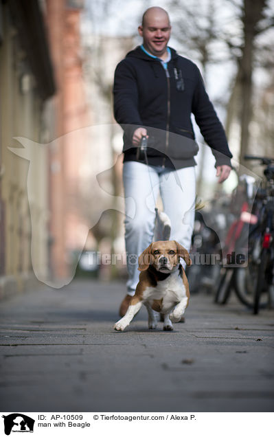 Mann mit Beagle / man with Beagle / AP-10509