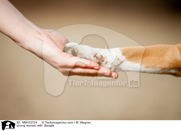 junge Frau mit Beagle / young woman with  Beagle / MW-03724