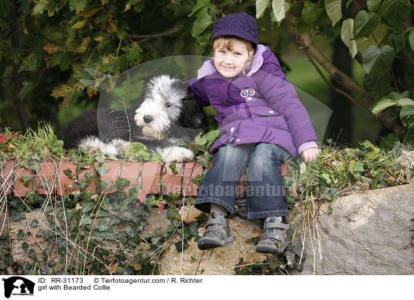 girl with Bearded Collie / RR-31173