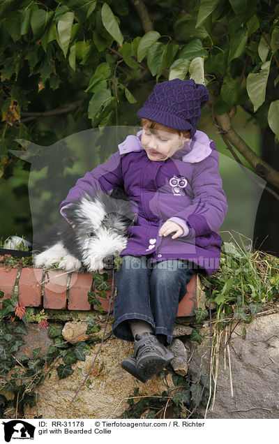 girl with Bearded Collie / RR-31178
