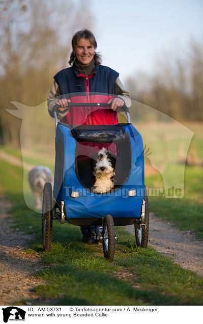 Frau mit jungem Bearded Collie / woman with young Bearded Collie / AM-03731